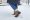 Whistler_IMG_6110_01