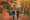 Family Walking Along Autumn Woodland Path With Father Carrying Son On Shoulders