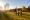 Mature couple holding hands walk retriever dog autumn sunset countryside meadow